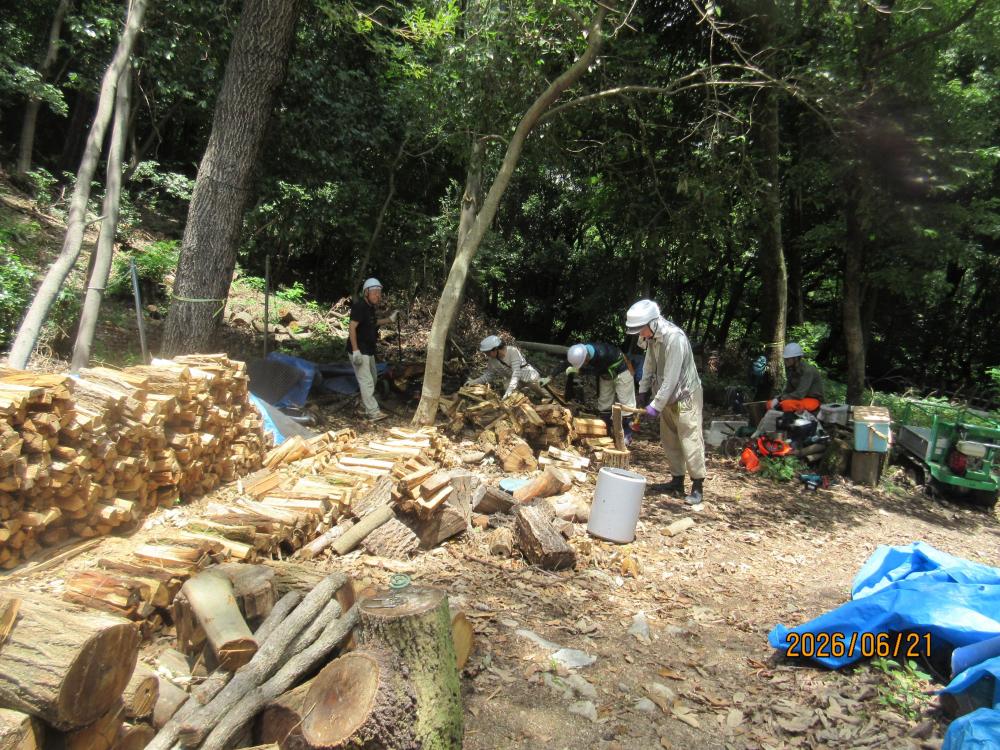 小水力発電所の森での「里山整備活動」