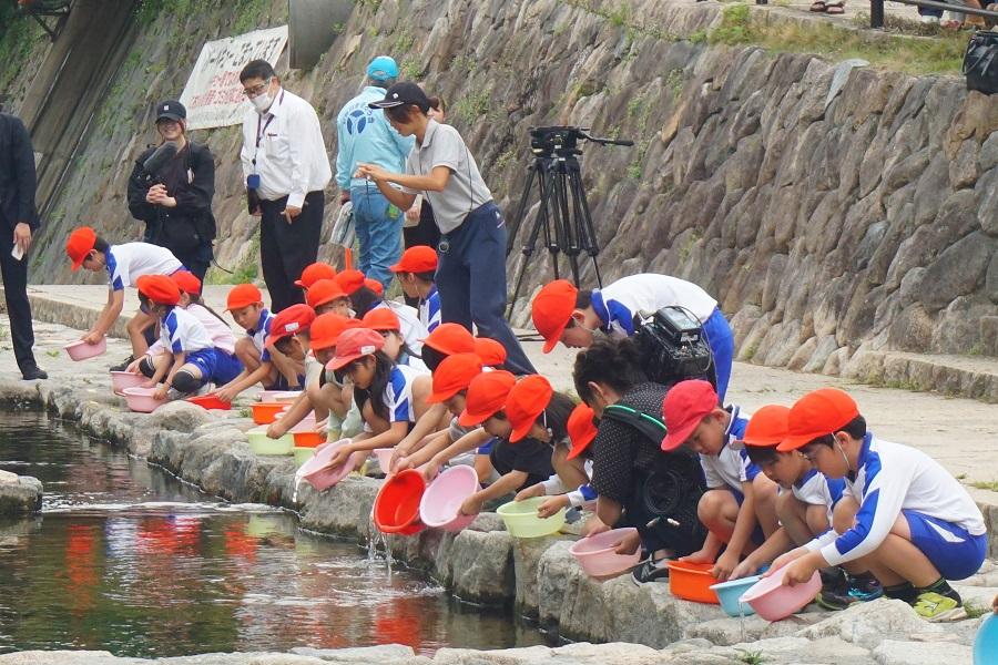 鮎の稚魚の放流 ボランティア募集！
