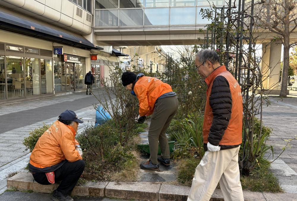 バラでまちづくり