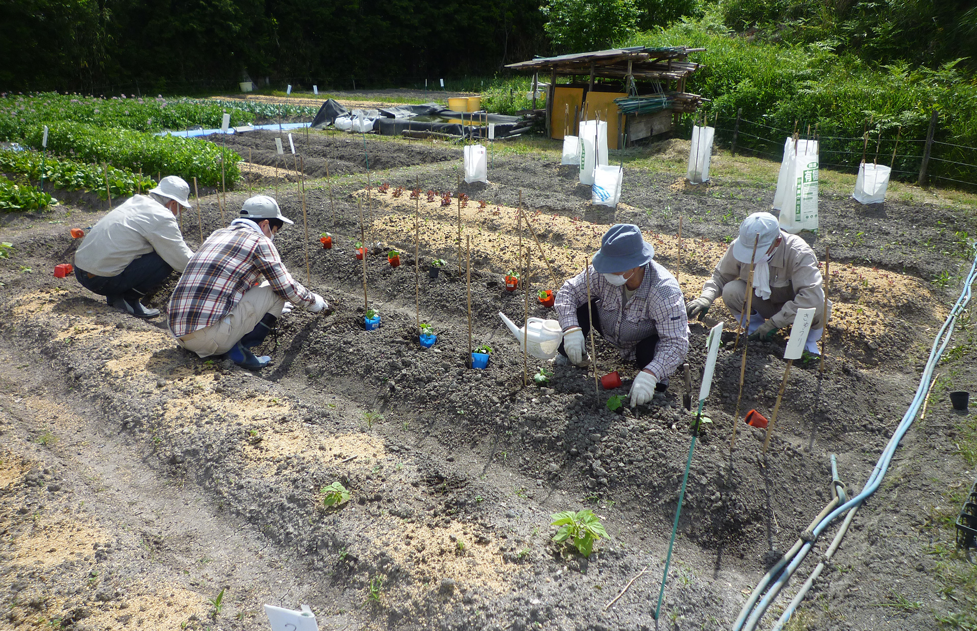里山の整備と環境体験学習