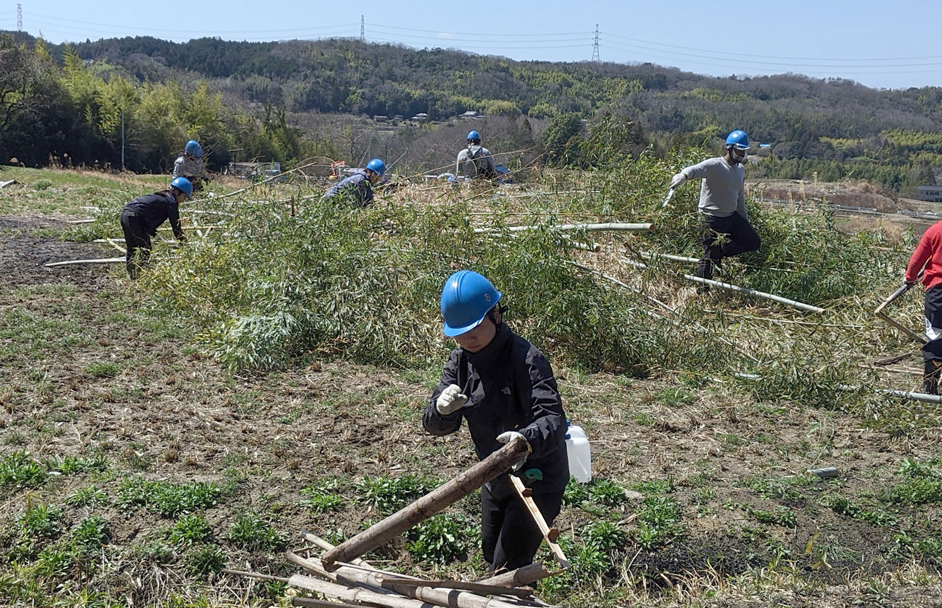 里山・休耕地・空き家の整備と有機農業の推進（SDGsの取り組み推進）