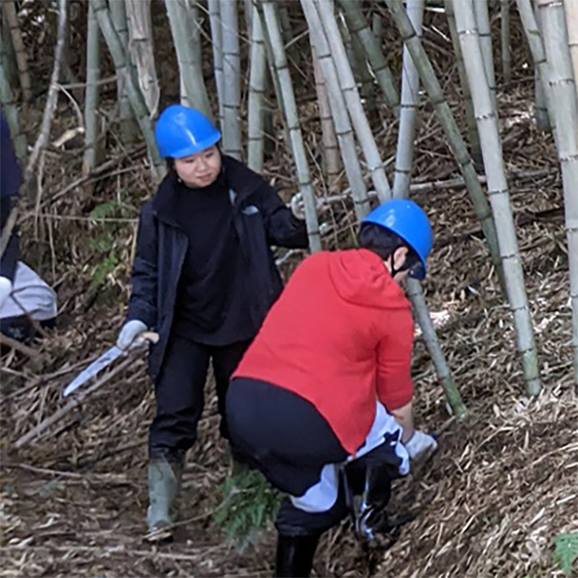 里山・休耕地・空き家の整備と有機農業の推進（SDGsの取り組み推進）