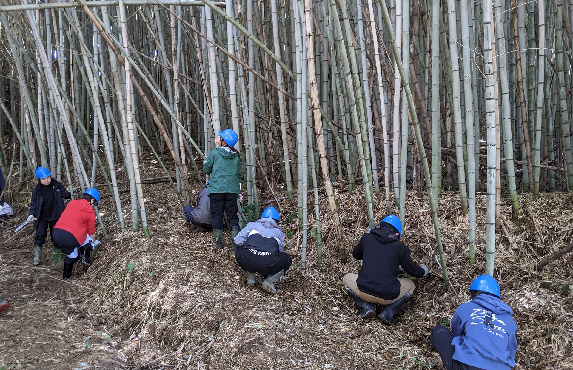 里山・休耕地・空き家の整備と有機農業の推進（SDGsの取り組み推進）