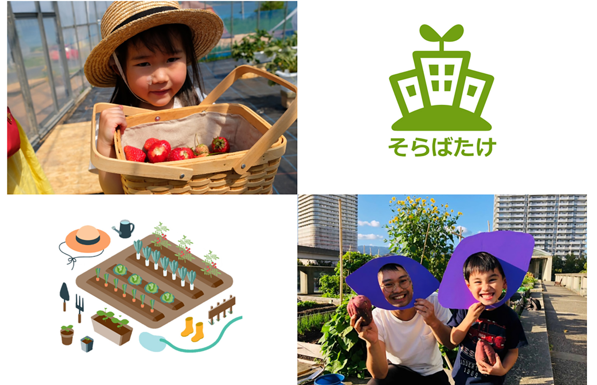 屋上緑化事業PR