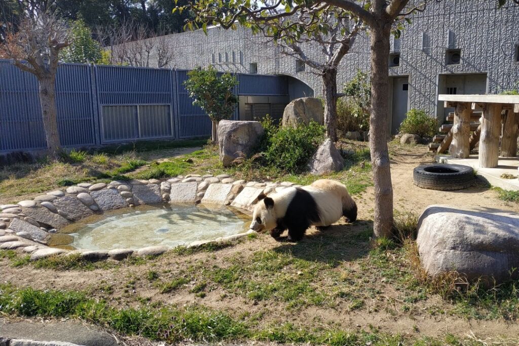 あなたの知らない神戸⑤　王子動物園